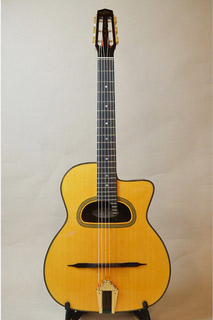 ARIA mm-10/d